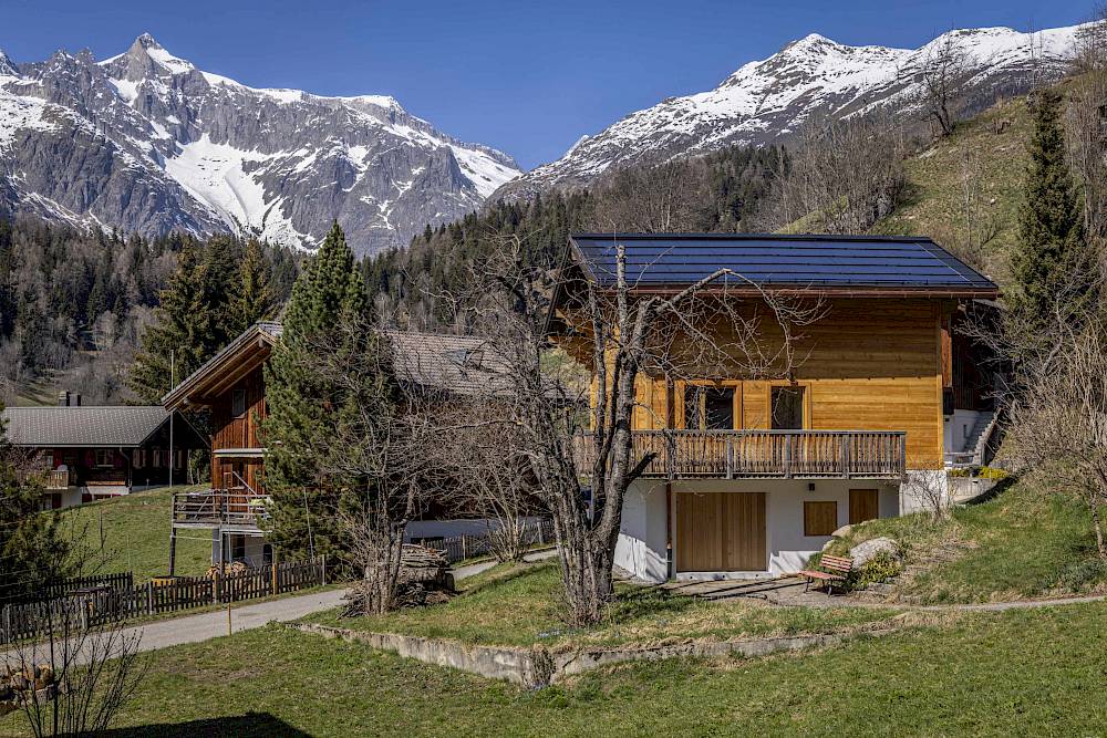 Chalet MühlebachSüdseitiger Garten